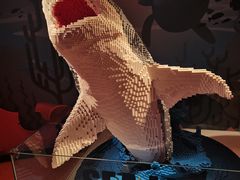 -沈阳海洋探索中心