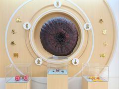 -广州神农草堂中医药博物馆