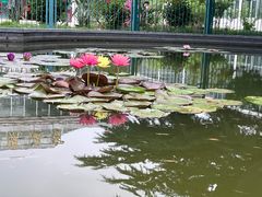 -国家植物园南园