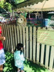 -萌宠亲子动物乐园(槐房万达店)