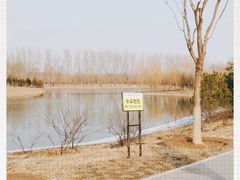 -东郊湿地公园