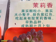 -马陆小张葡萄园农家乐