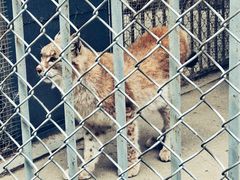 -哈尔滨北方森林动物园