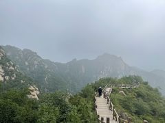 -大岭沟猕猴桃谷风景区