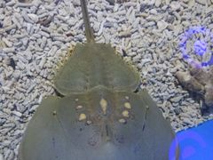 -石林冰雪海洋世界