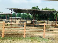 -西安秦岭野生动物园