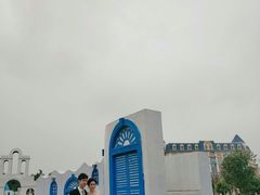 -百万葵园