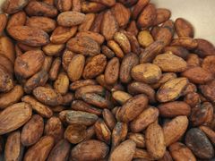 -歌斐颂巧克力小镇