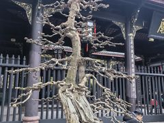 -成都武侯祠博物馆