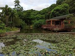 -云溪植物园