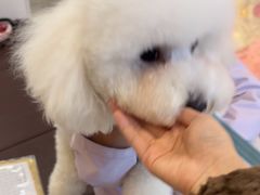 -宠物家(角门东店)