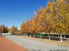 -永定河休闲森林公园