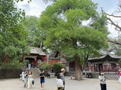 -晋祠公园
