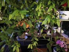 -时光码头民谣公社