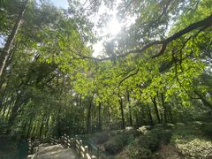 -灵岩山风景区