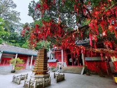 -国恩寺