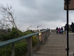-企鹅岛