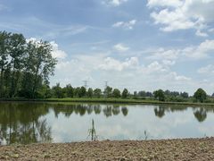 -沔阳会馆(沔街店)