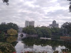 -荔湾湖公园