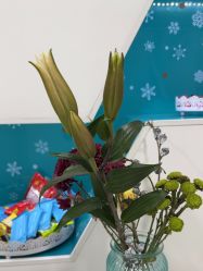 -芙贝佳禾·痘肌管理中心