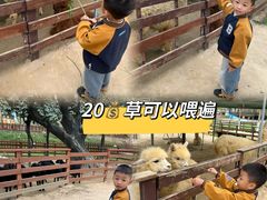 -盈香心动乐园