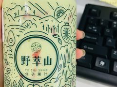 -野萃山·潮汕厚果汁(十亩地店)