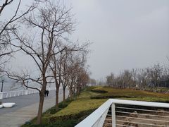 -上海山野camping·户外天幕烧烤·团建拓展营地