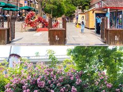 -天津五大道文化旅游区