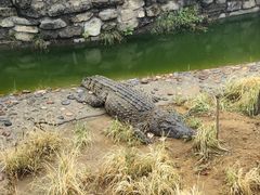 -石家庄市动物园