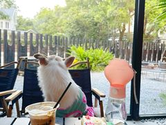 -J Create城市露营咖啡·简餐·宠物(上海动物园店)