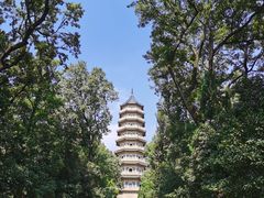 -灵谷景区