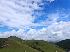 -大姆山草场