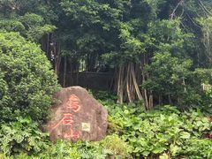 -乌山风景区
