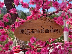 -北京凤凰岭
