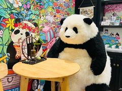 -轩客会(熊猫书店)