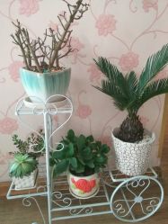 -本真坊美容美体沙龙