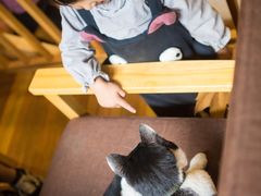 店内环境-猫的天空之城概念书店(杭州南宋御街店)