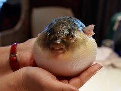 -永安鱼庄·镇江菜(东吴路店)