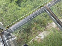 -千岛湖石林