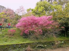 -南溪山景区