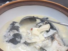 -宝荣鱼馆·临湖之宴(千岛湖店)