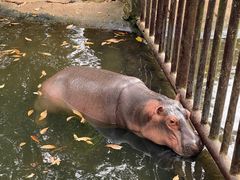 -海南热带野生动植物园