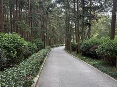-冶父山国家森林公园