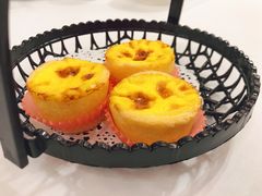 高桶焗蛋挞-春满园·早茶·粤菜·宴会(喜宴店)