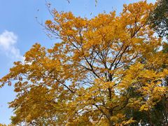 -东钱湖旅游度假区