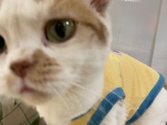 -小时光咖啡馆(北锣鼓巷店)