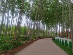 -仁和公园(顺义区)