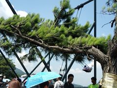 -梦幻奥陶纪景区