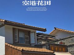 -空港花田景区