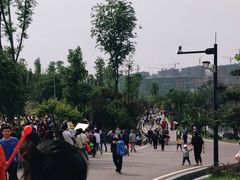 -枫香湖儿童公园